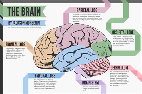 Market Psychology and Its